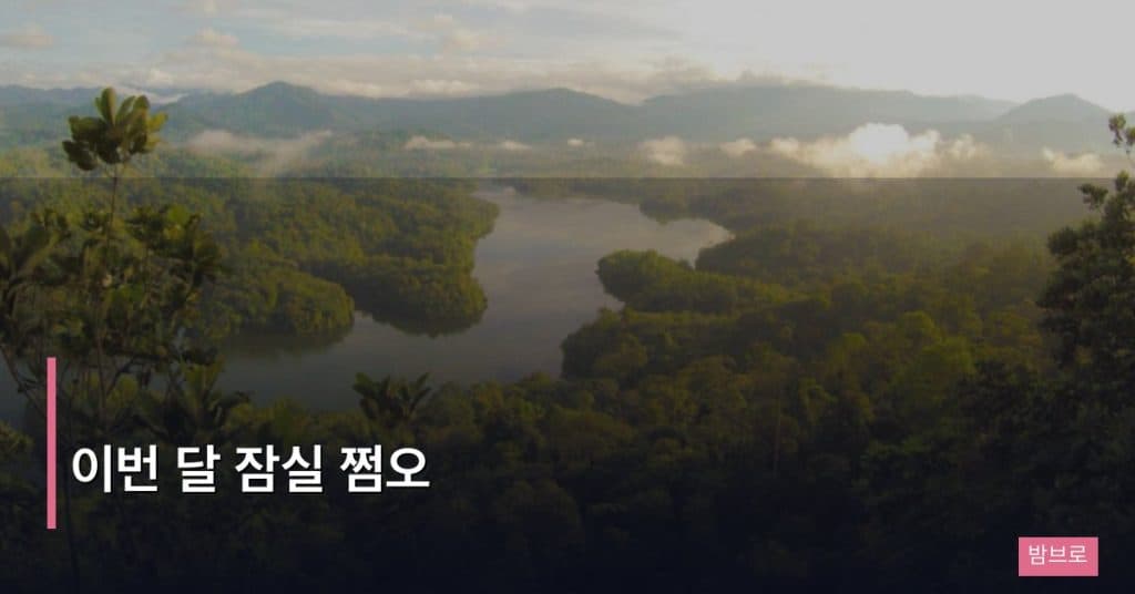 이번 달 잠실 쩜오