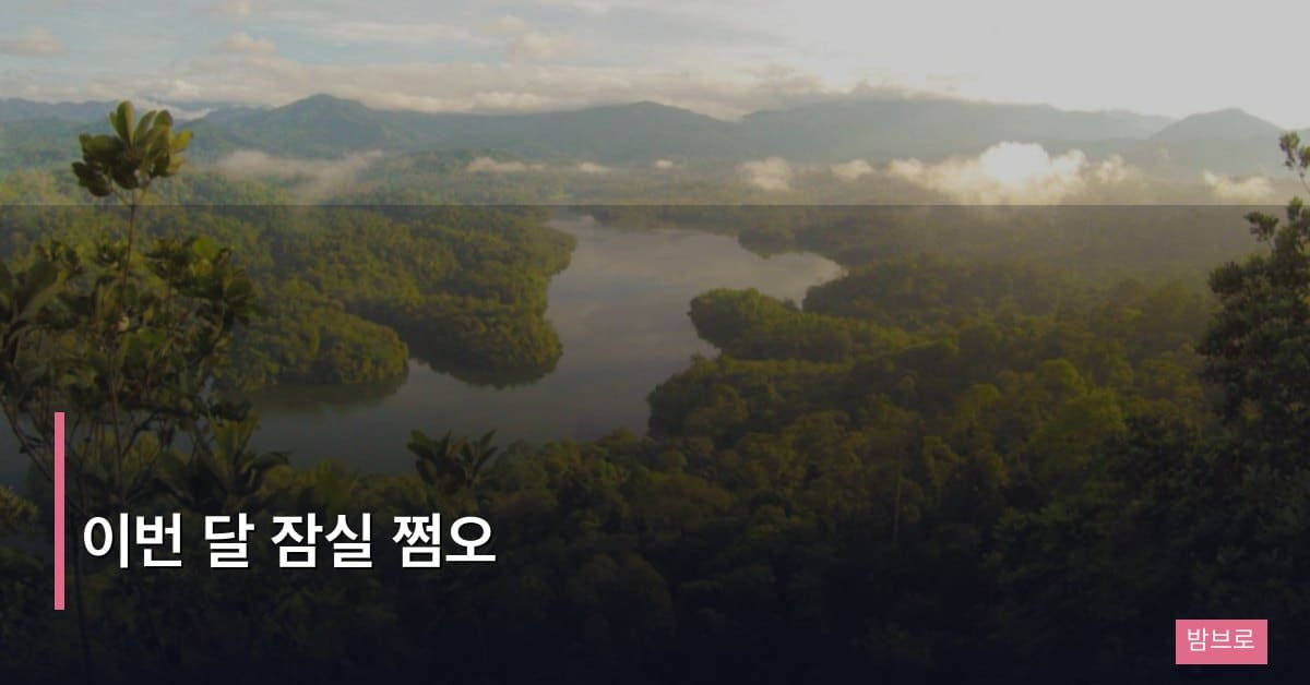 이번 달 잠실 쩜오