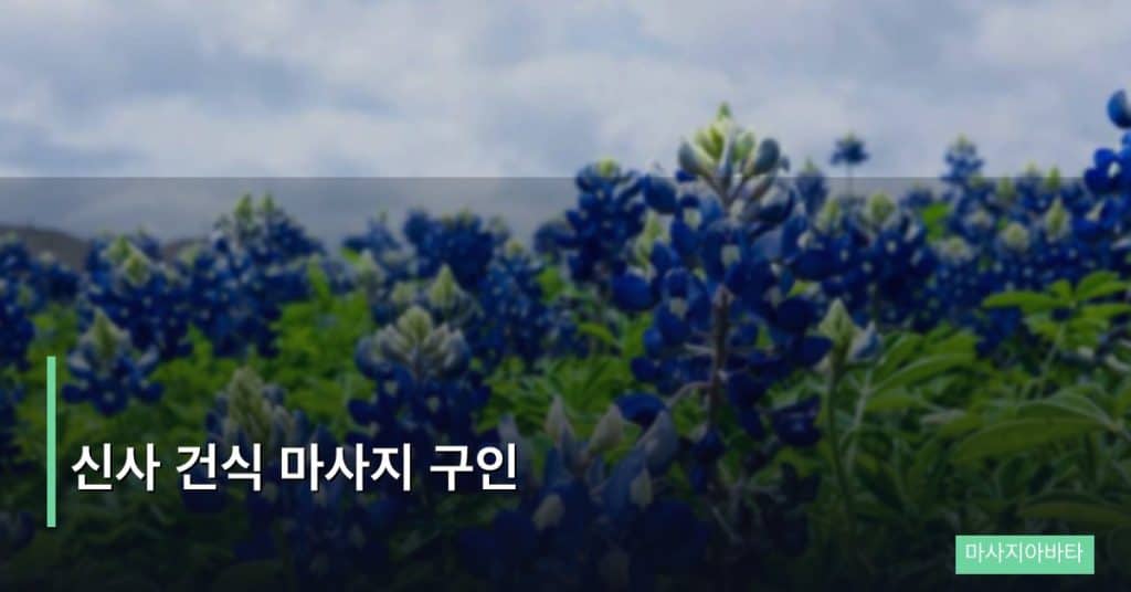 신사 건식 마사지 구인