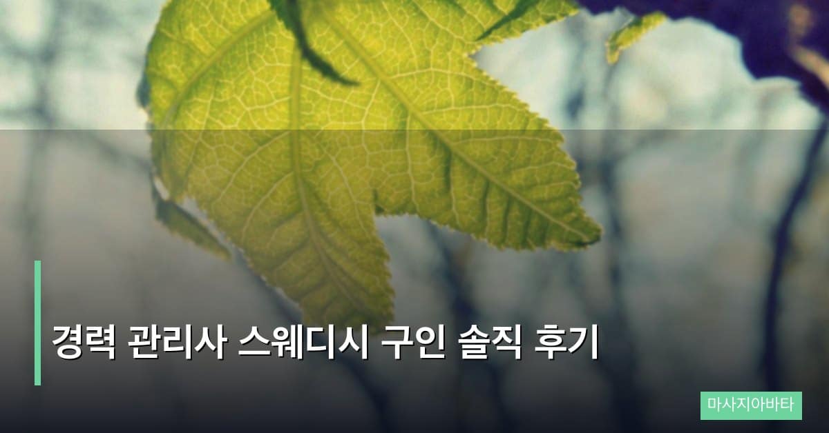 경력 관리사 스웨디시 구인 솔직 후기