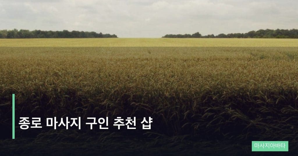 종로 마사지 구인 추천 샵