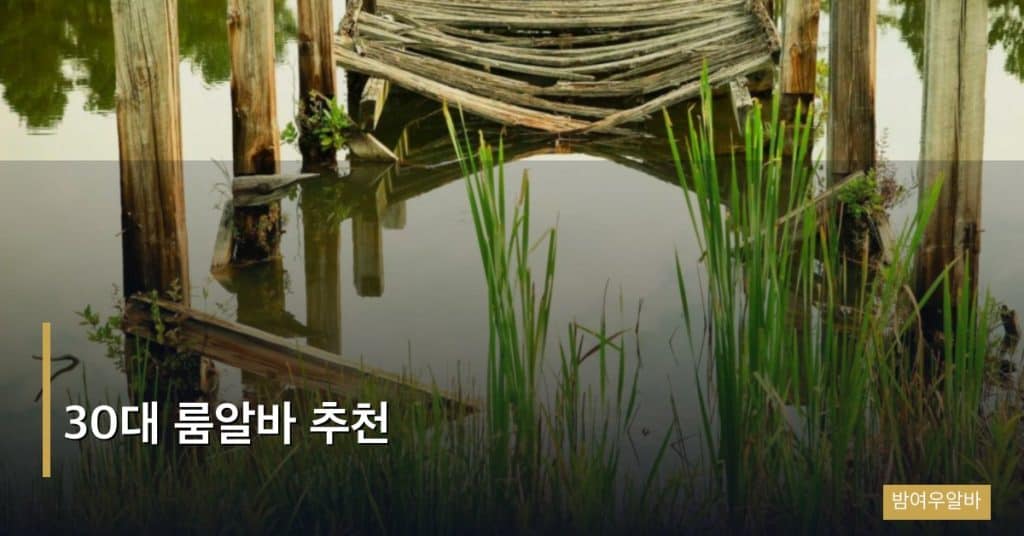 30대 룸알바 추천