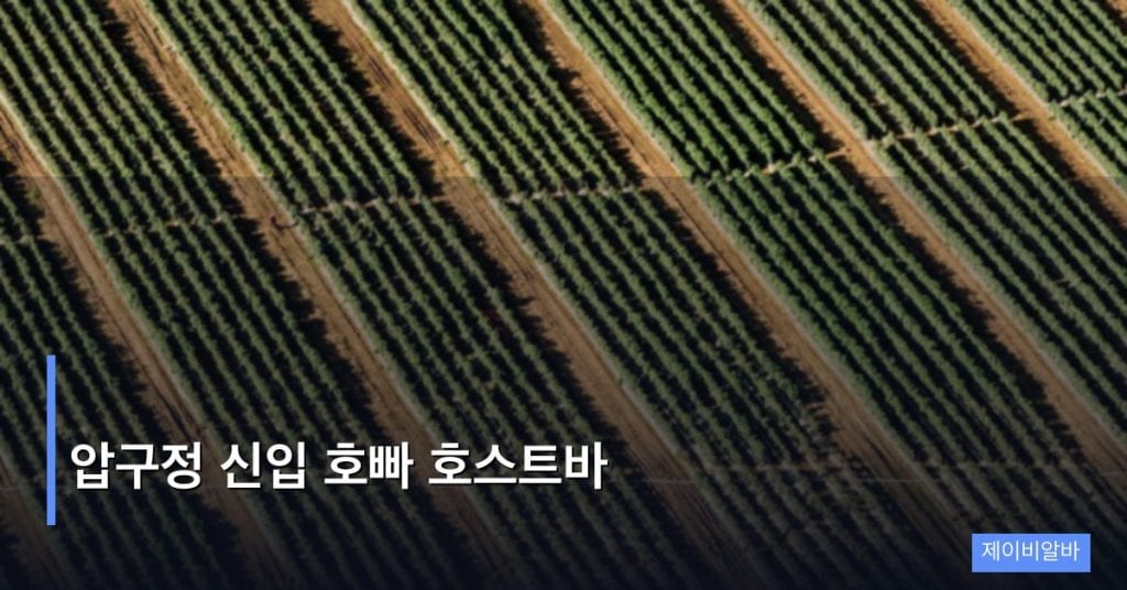 압구정 신입 호빠 호스트바