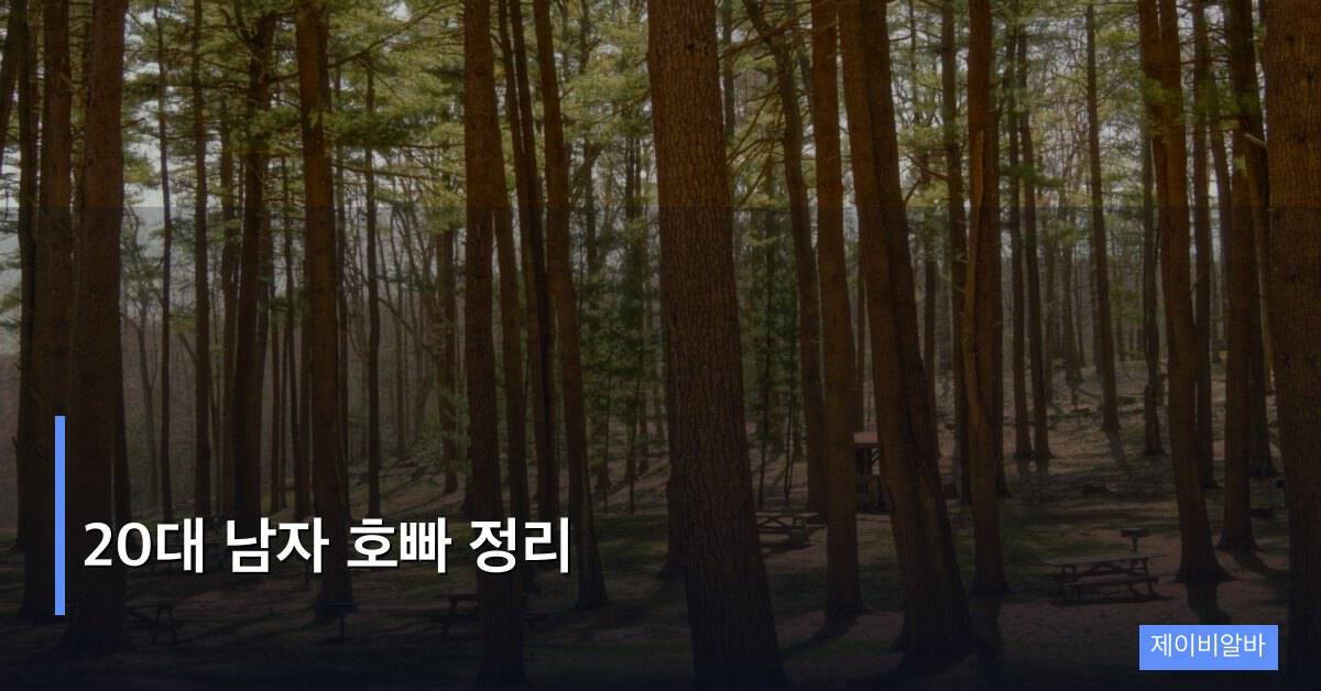 20대 남자 호빠 정리