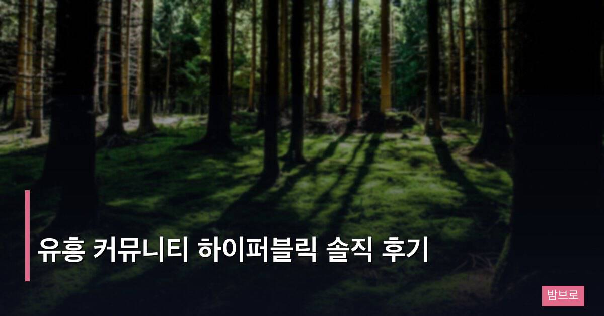 유흥 커뮤니티 하이퍼블릭 솔직 후기
