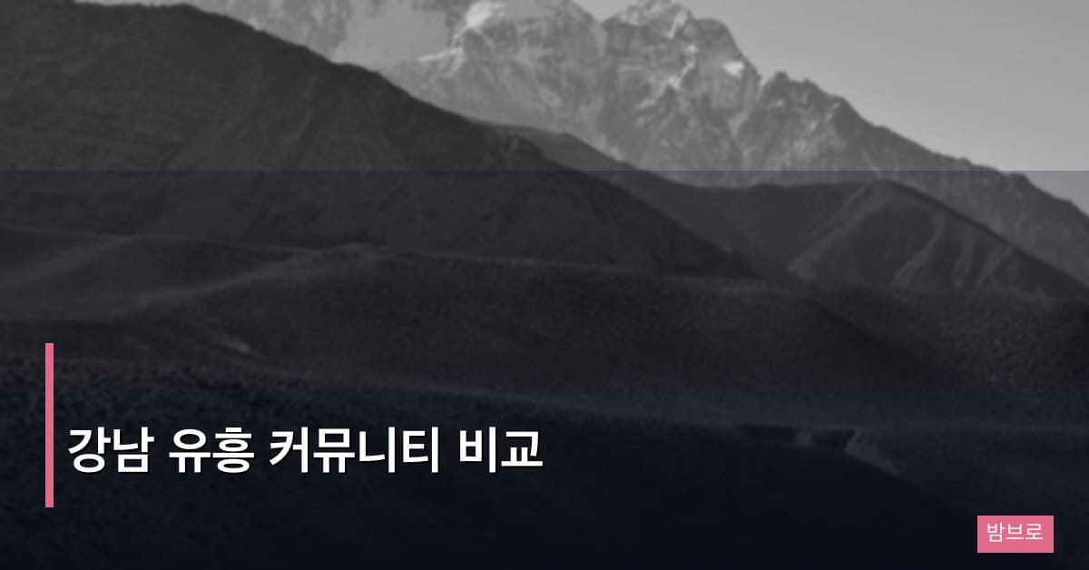강남 유흥 커뮤니티 비교
