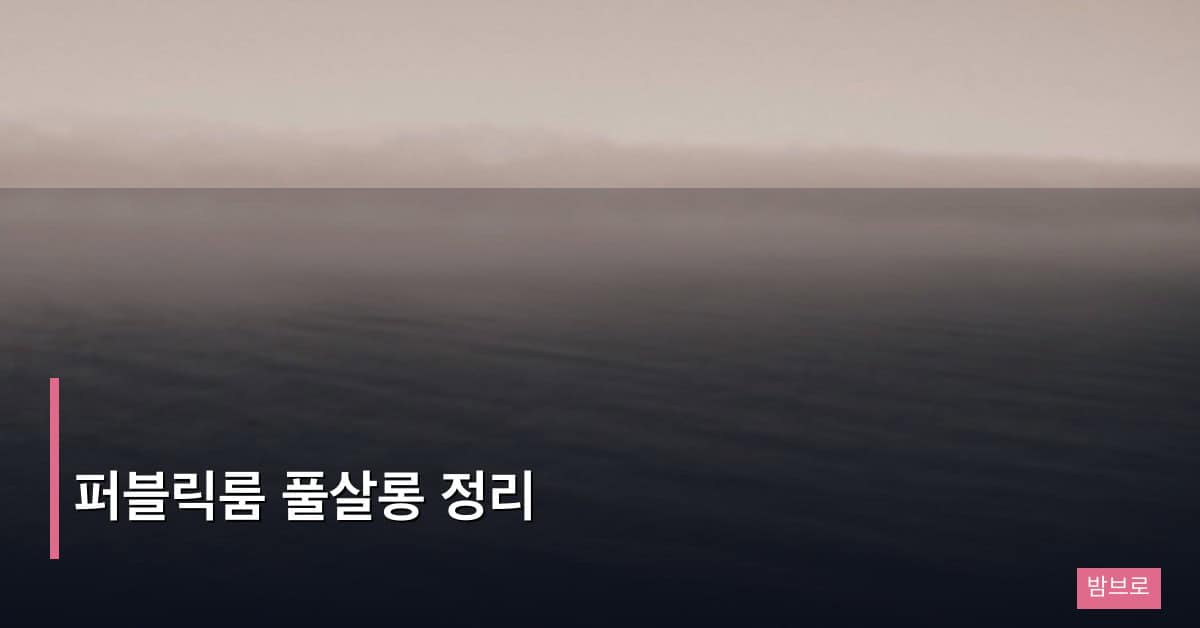 퍼블릭룸 풀살롱 정리