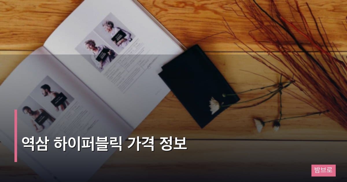 역삼 하이퍼블릭 가격 정보