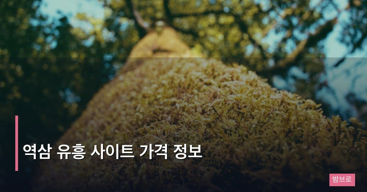 역삼 유흥 사이트 가격 정보