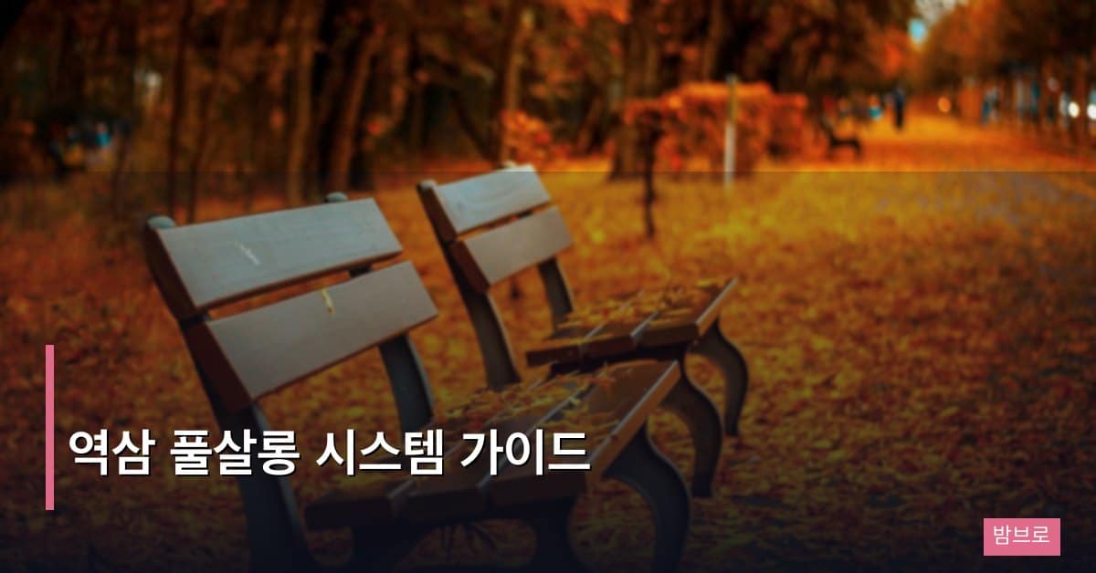 역삼 풀살롱 시스템 가이드